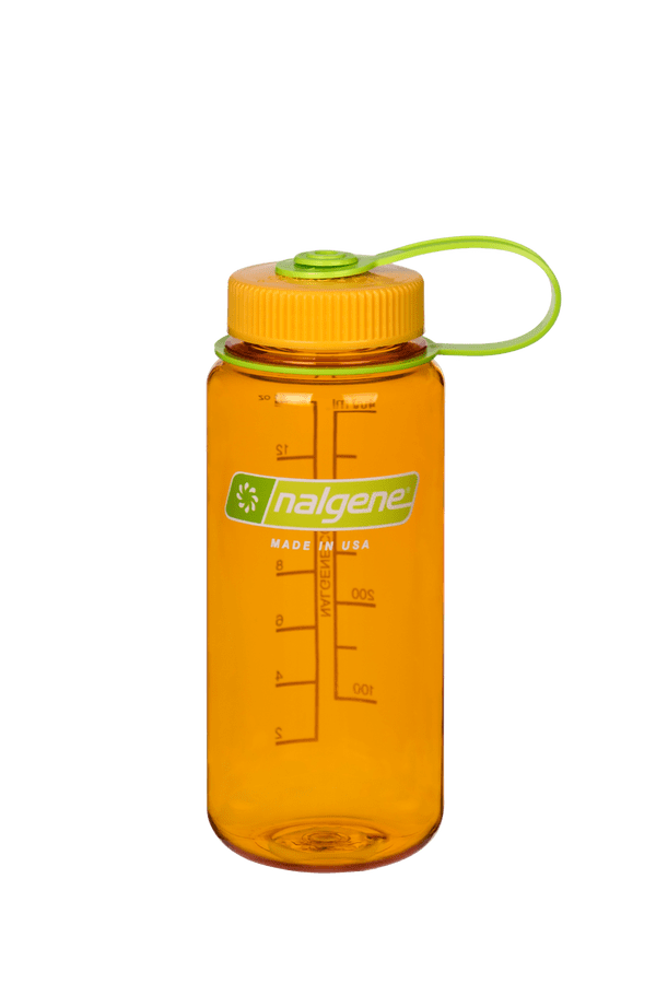 Nalgene Bottle (500ml)